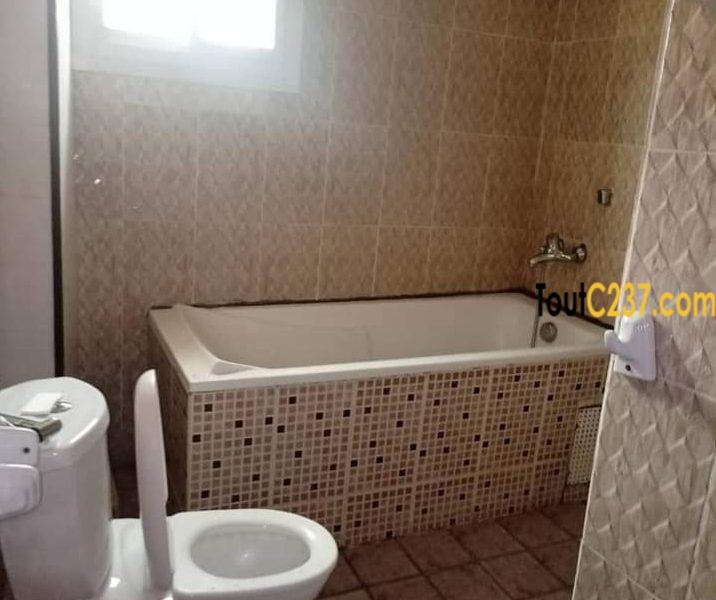 Appartement à louer à bonanjo Douala