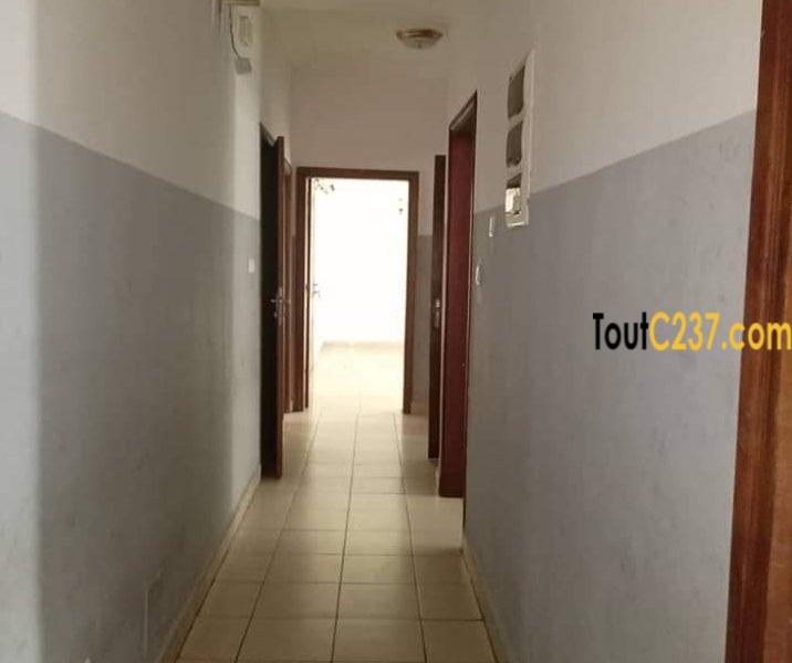 Appartement à louer à bonanjo Douala