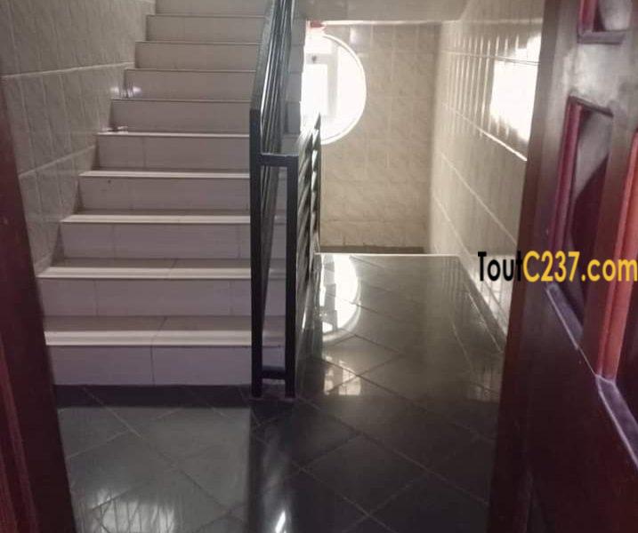 Appartement à louer à bonanjo Douala
