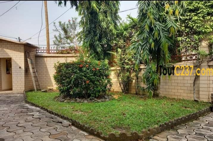 Duplex à louer à Bonapriso Douala