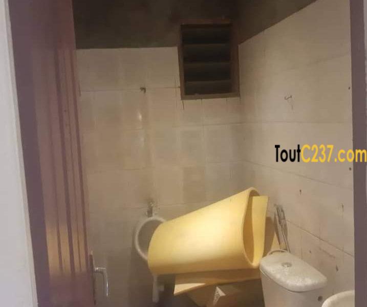 Espace commercial à louer à Bonamoussadi