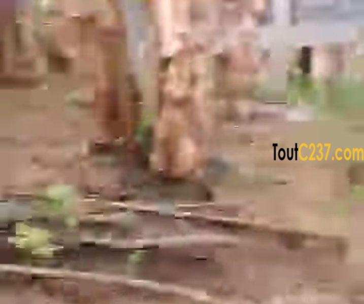 Terrain à vendre à Logpom Douala