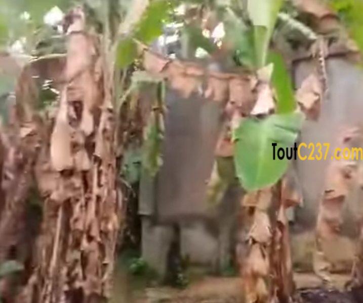 Terrain à vendre à Logpom Douala