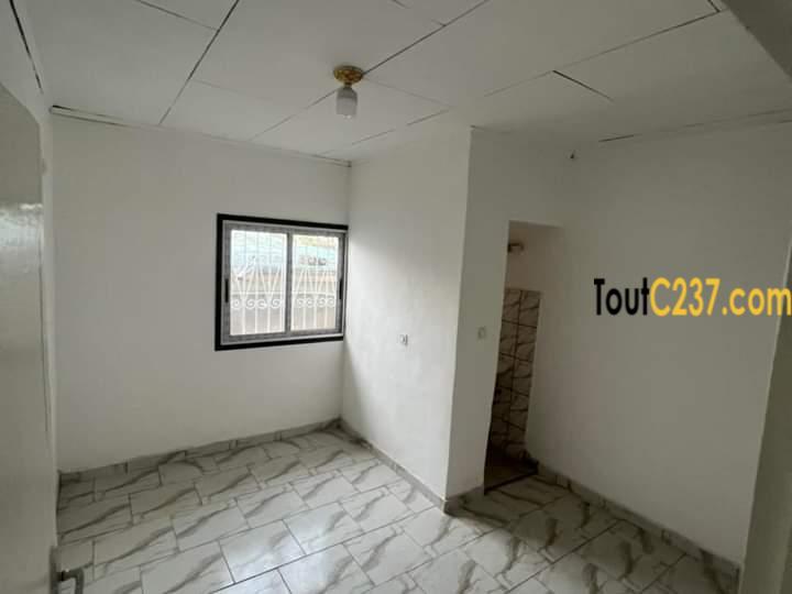 Appartement à louer à Bonapriso Douala