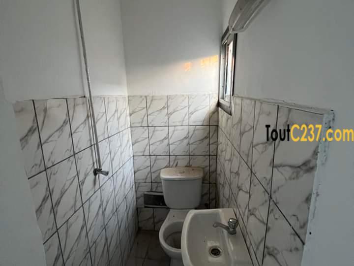 Appartement à louer à Bonapriso Douala