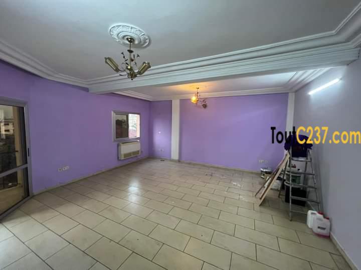 Appartement à louer à Bonapriso