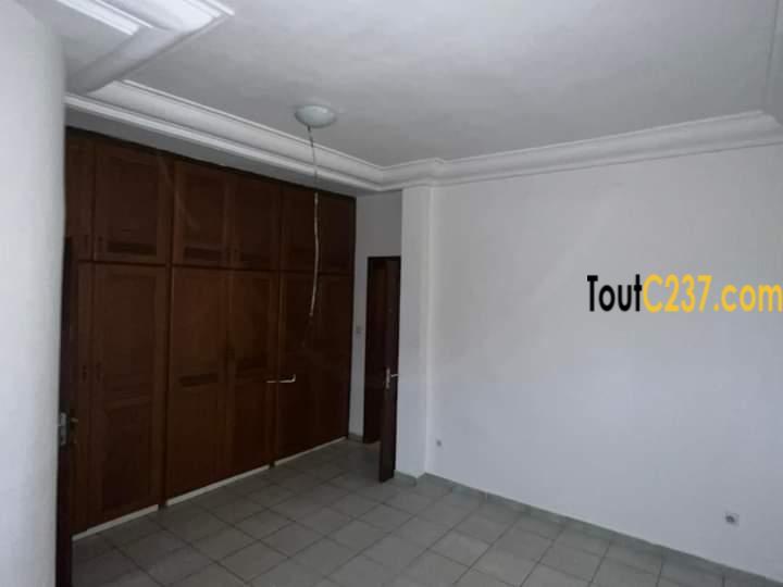 Appartement à louer à Bonapriso