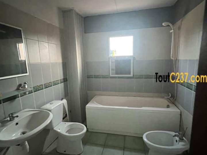 Appartement à louer à Bonapriso