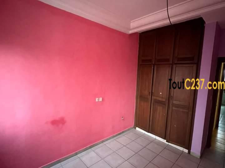 Appartement à louer à Bonapriso