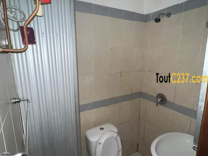 Appartement à louer à Bonapriso