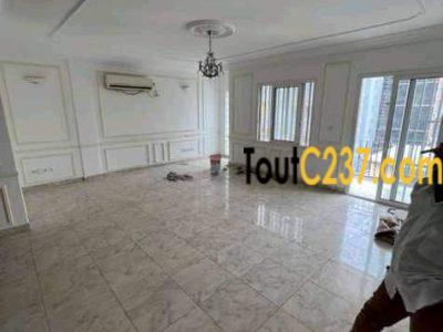 Appartement à louer à Bonapriso Douala