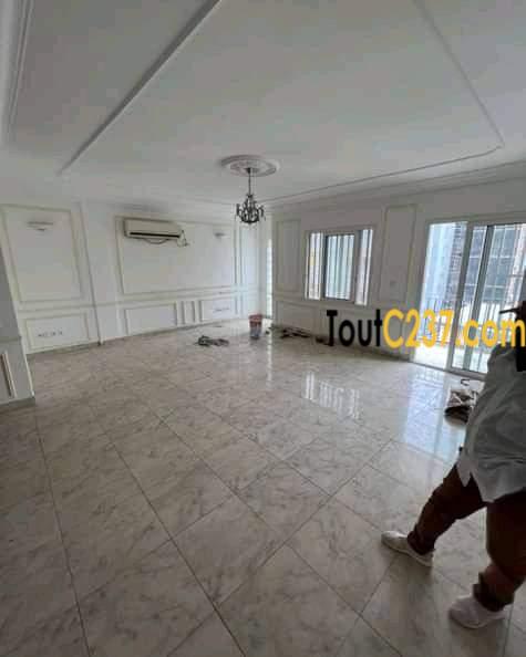 Appartement à louer à Bonapriso Douala