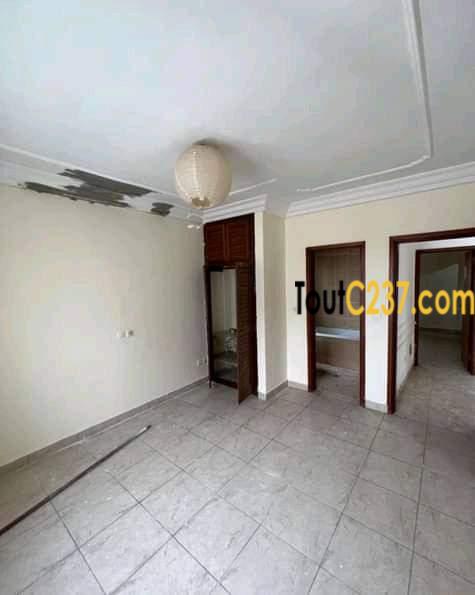 Appartement à louer à Bonapriso Douala