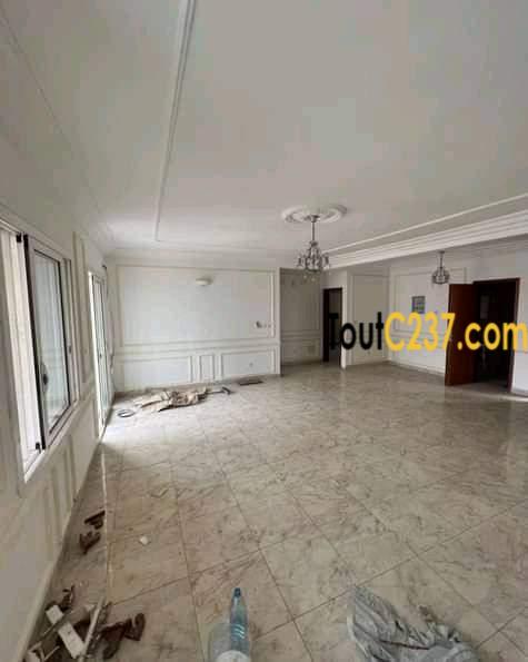 Appartement à louer à Bonapriso Douala