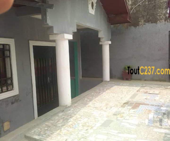 Maison à vendre à Logpom Douala