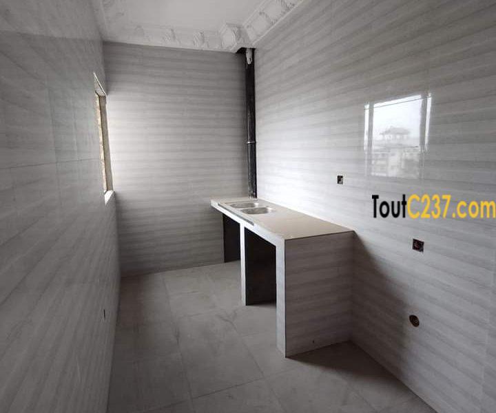 Studio Moderne à louer à Bonamoussadi