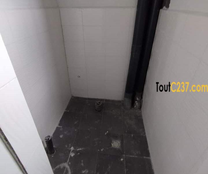 Studio Moderne à louer à Bonamoussadi