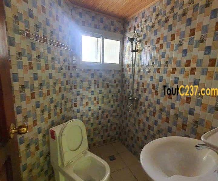 Appartement neuf à louer à Bonapriso Douala