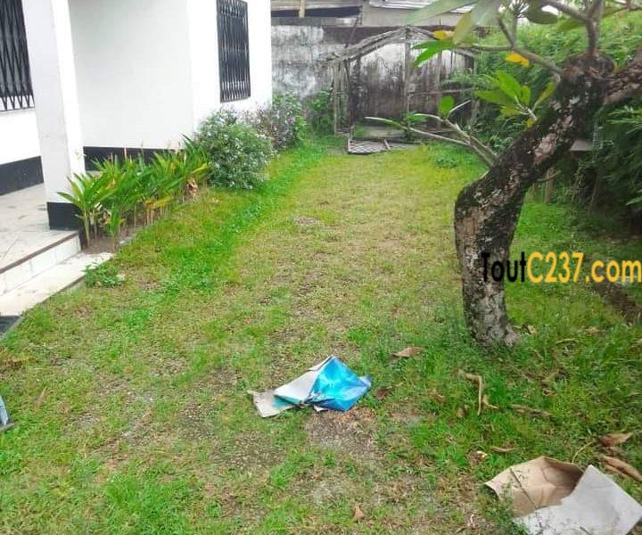 Duplex à louer à Bali Douala