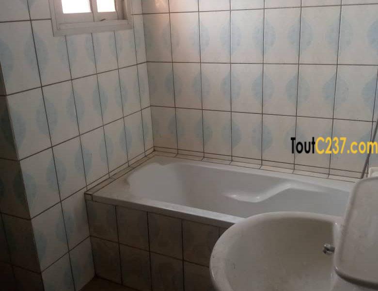 Appartement à louer à Ngodi Akwa