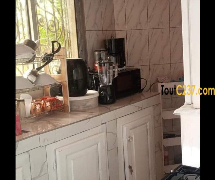 Appartement meublé à louer à Bonamoussadi