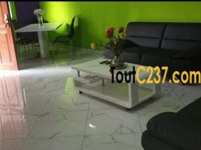 Appartement meublé à louer à Bonamoussadi