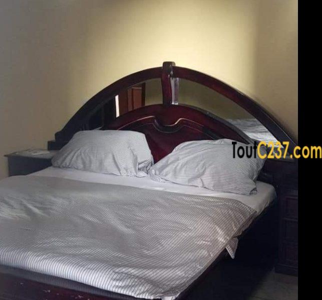 Appartement meublé à louer à Bonamoussadi