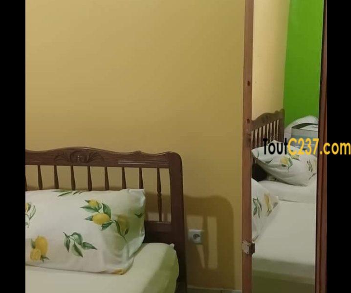 Appartement meublé à louer à Bonamoussadi