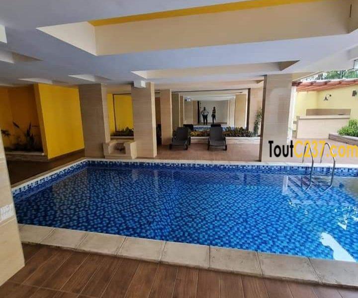Appartement neuf à louer à Bonapriso