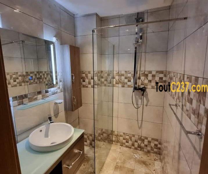 Appartement neuf à louer à Bonapriso