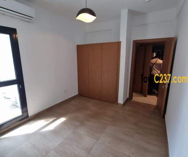 Appartement neuf à louer à Bonapriso