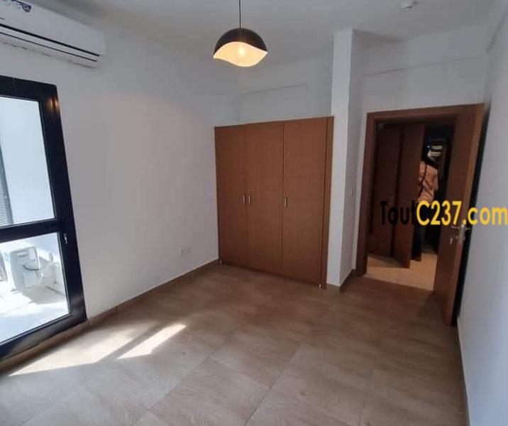 Appartement neuf à louer à Bonapriso