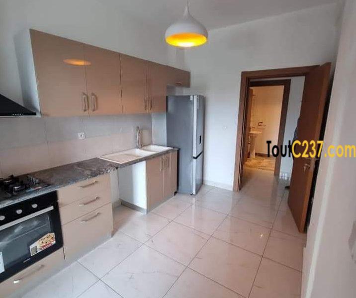 Appartement neuf à louer à Bonapriso