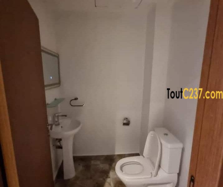 Appartement neuf à louer à Bonapriso