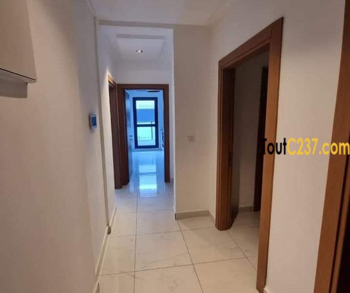 Appartement neuf à louer à Bonapriso