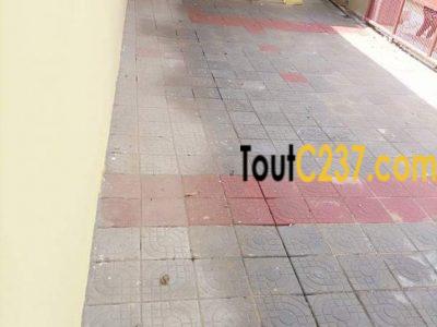 Maison à louer à Kotto baden baden