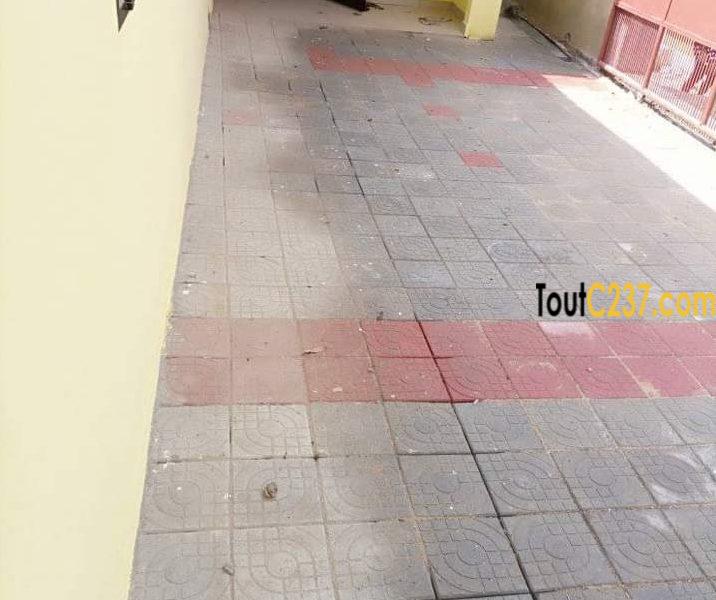 Maison à louer à Kotto baden baden