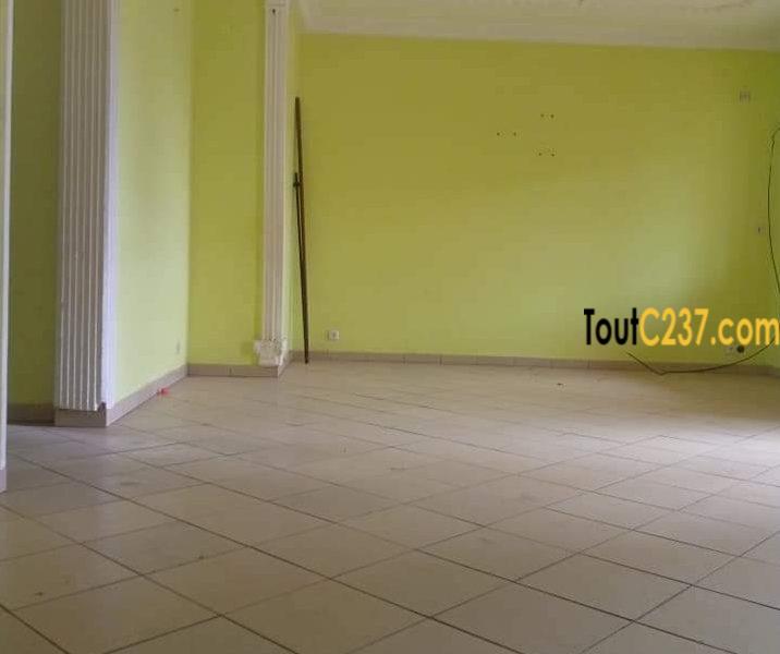 Appartement à louer à Bonamoussadi sable