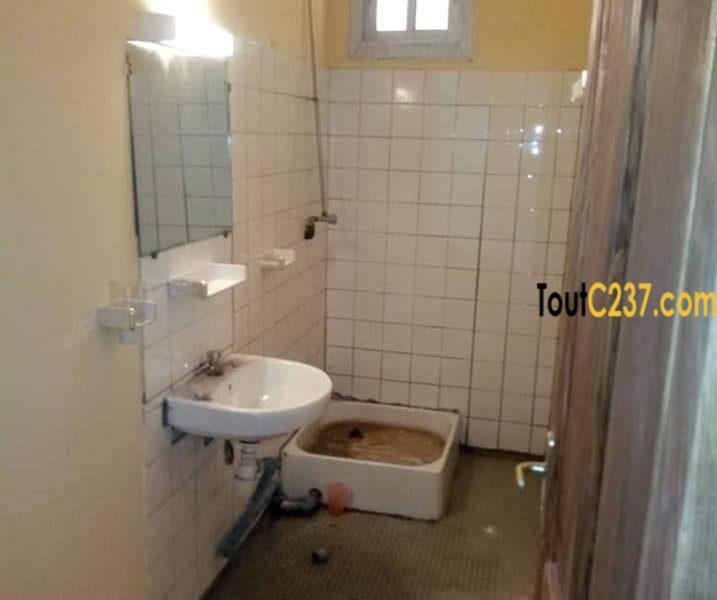 Maison sic à louer à Kotto Douala
