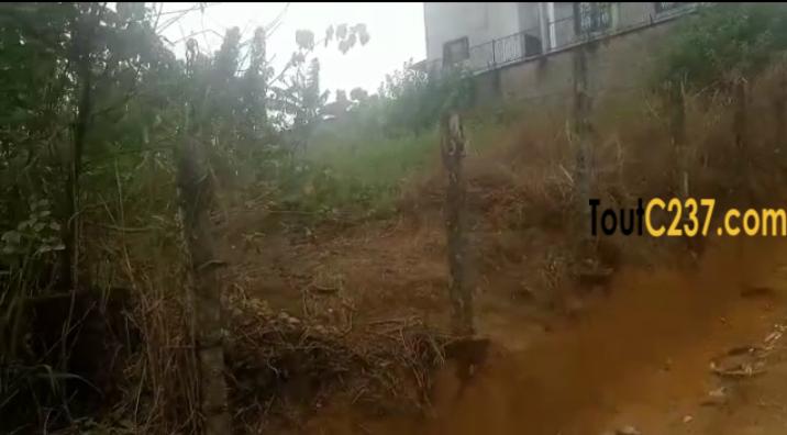 Terrain à vendre à