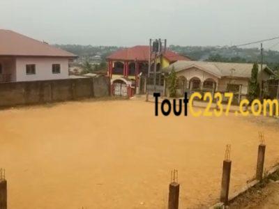 Terrain à vendre à Kotto Douala