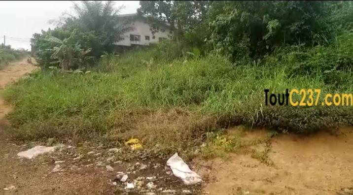 Terrain d'angle à vendre à Logbessou Douala