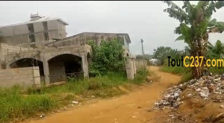 Terrain d'angle à vendre à Logbessou Douala
