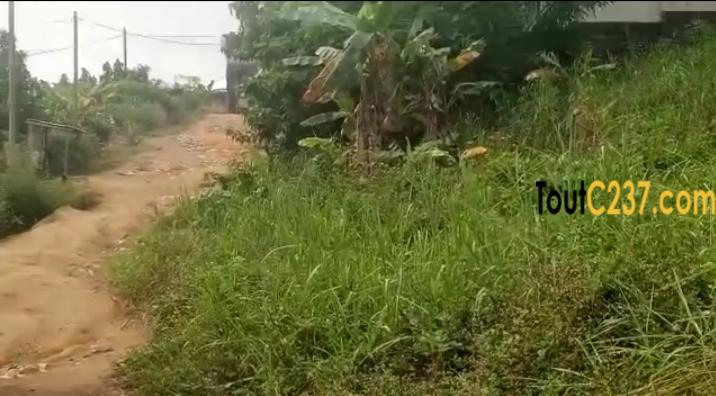 Terrain d'angle à vendre à Logbessou Douala