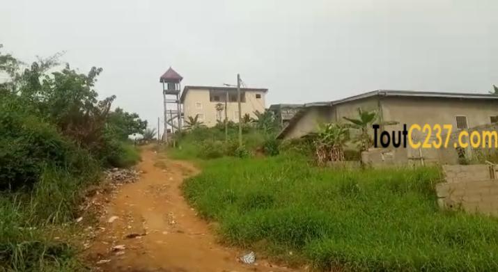 Terrain d'angle à vendre à Logbessou Douala