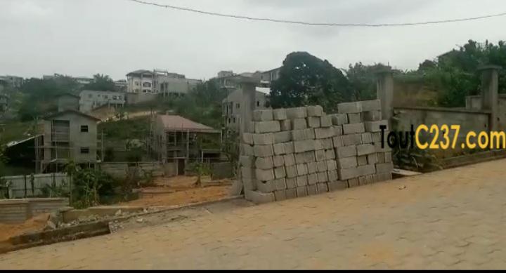 Terrain à vendre à logbessou Douala
