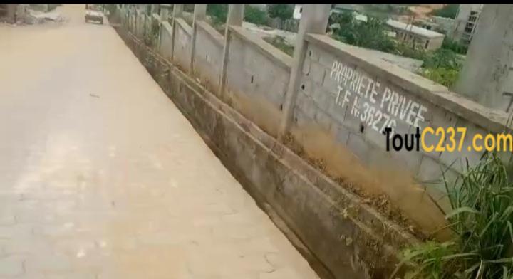 Terrain à vendre à logbessou Douala