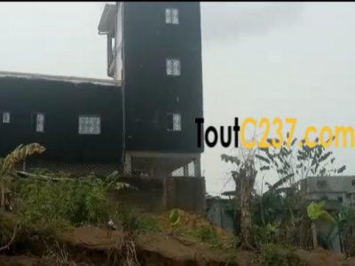 Terrain à vendre à logbessou Douala