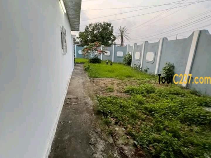 Grande villa à louer à Bonapriso Douala