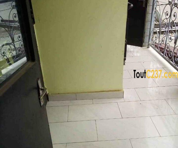 Appartement à louer à Bonamoussadi Douala